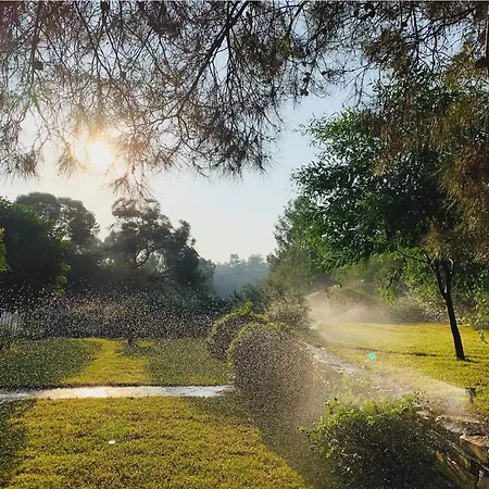 The Goathouse ラルナカ