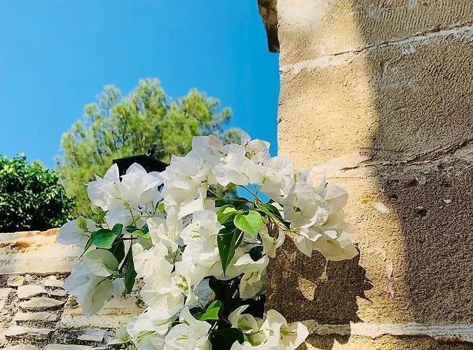 The Goathouse * Ларнака