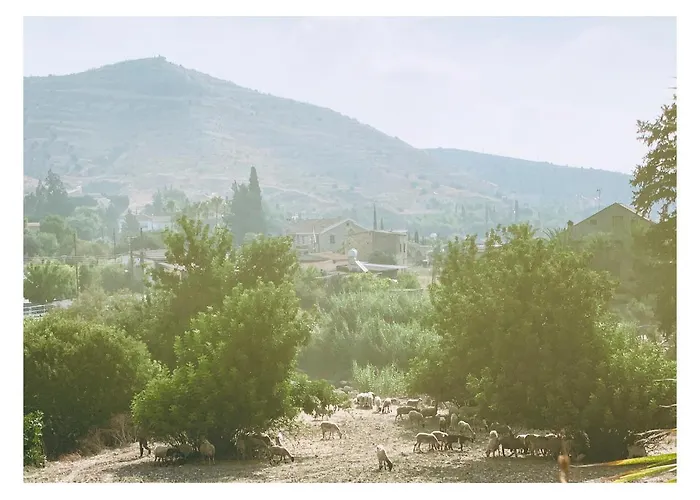 The Goathouse Larnaca